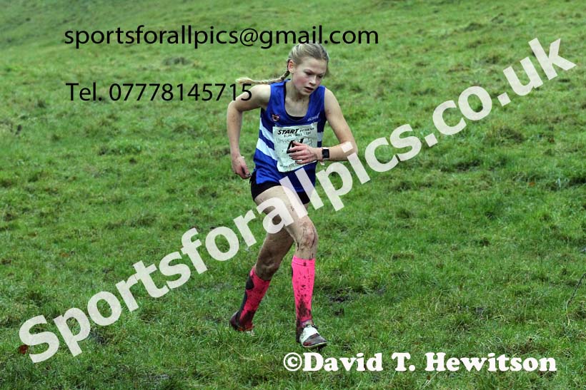 Girls under-15s, NECAA Junior Cross Country Relays, Thornley Farm, Peterlee, Saturday, December 12th. Photo: David T. Hewitson/Sports for All Pics